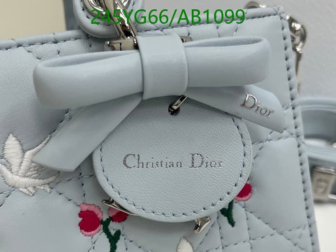 Dior-BagsMirror Quality Code: AB1099 $: 245USD