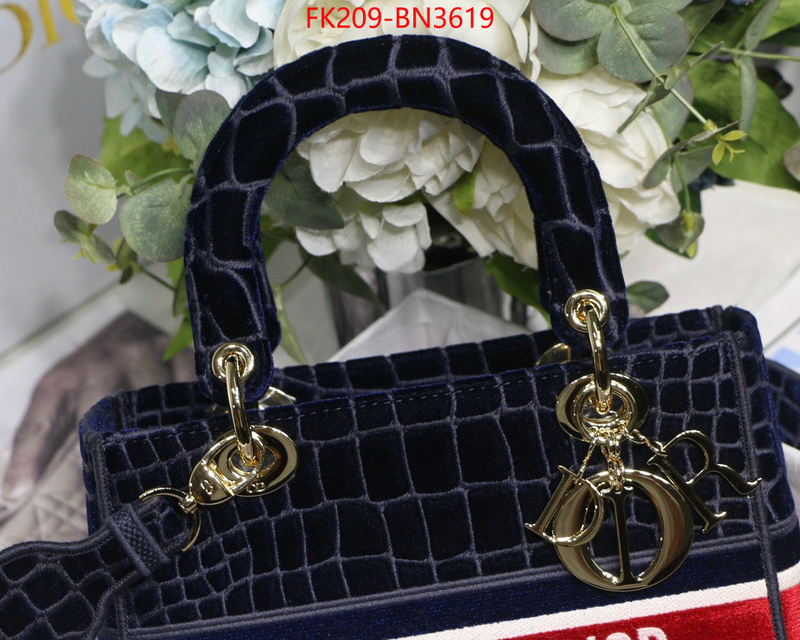 Dior Bags(TOP)-Lady-,ID: BN3619,$: 209USD