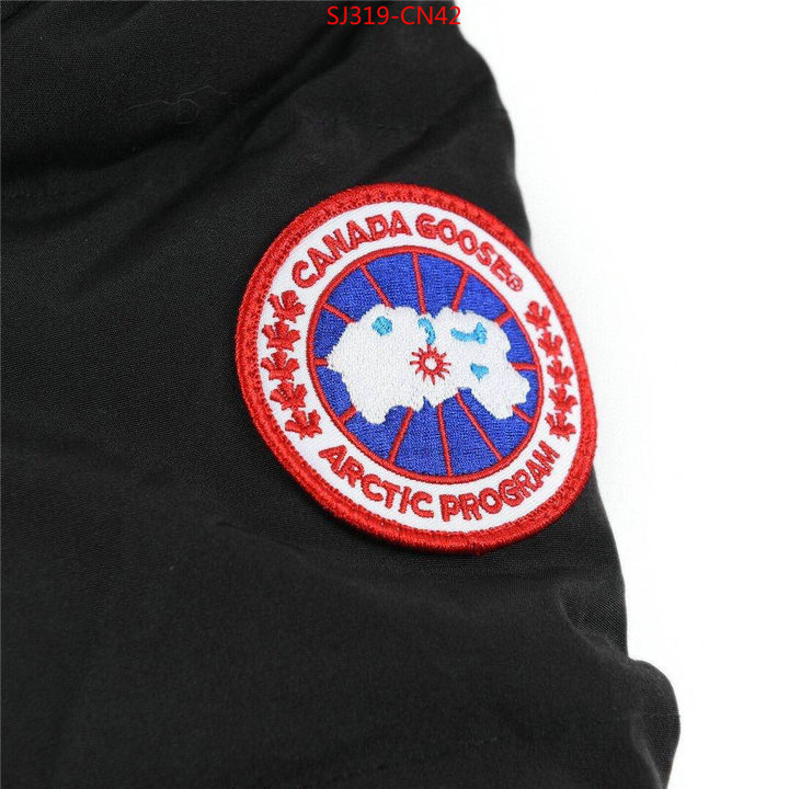 Down jacket Women-Canada Goose,shop the best high authentic quality replica , ID: CN42,$: 319USD