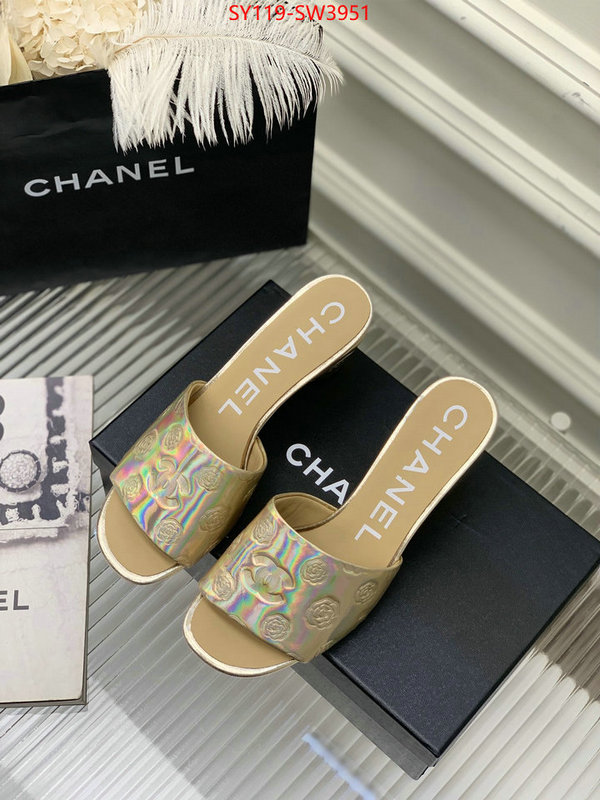 Women Shoes-Chanel,best site for replica , ID: SW3951,$: 119USD