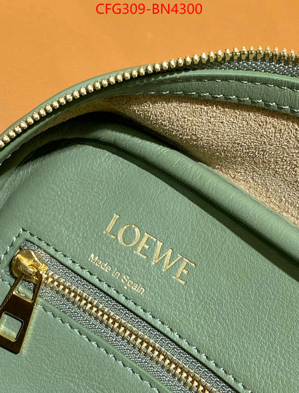 Loewe Bags(TOP)-Handbag-,practical and versatile replica designer ,ID: BN4300,$: 309USD