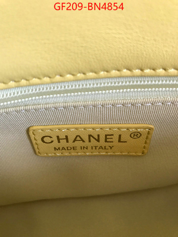 Chanel Bags(TOP)-Diagonal-,ID: BN4854,$: 209USD