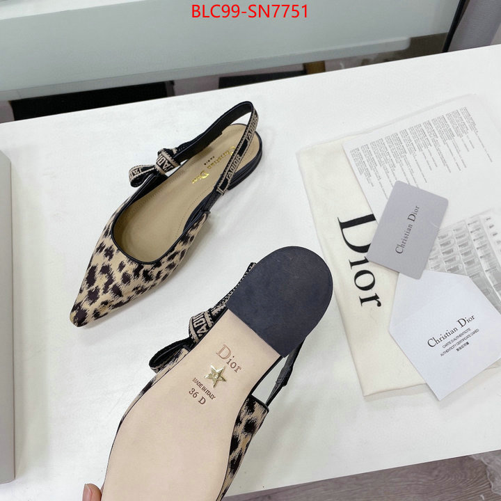 Women Shoes-Dior,the best quality replica , ID: SN7751,$: 99USD