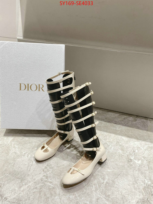 Women Shoes-Dior,top quality replica , ID: SE4033,$: 169USD