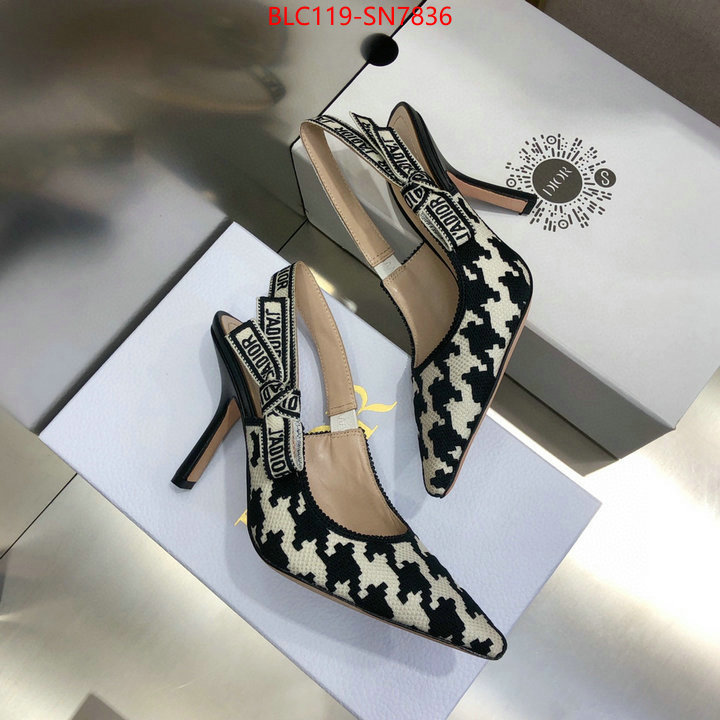 Women Shoes-Dior,what's the best to buy replica , ID: SN7836,$: 119USD