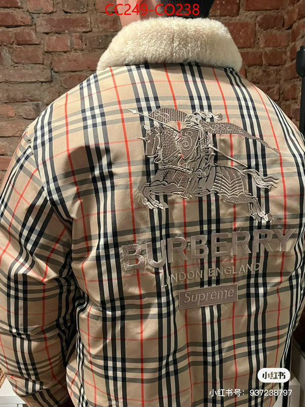 Down jacket Men-Burberry,best wholesale replica , ID: CO238,$: 249USD