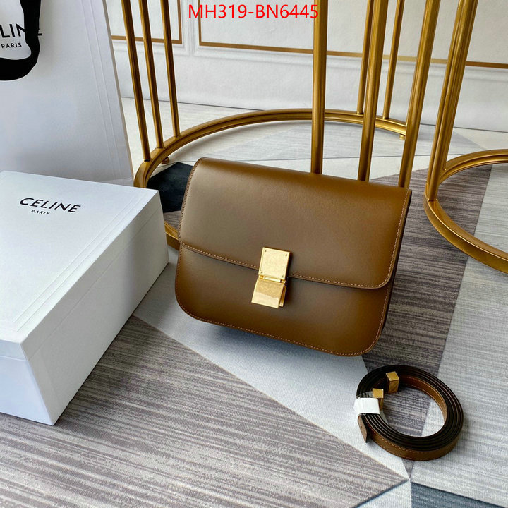 CELINE Bags(TOP)-Classic Series,new ,ID: BN6445,$: 319USD