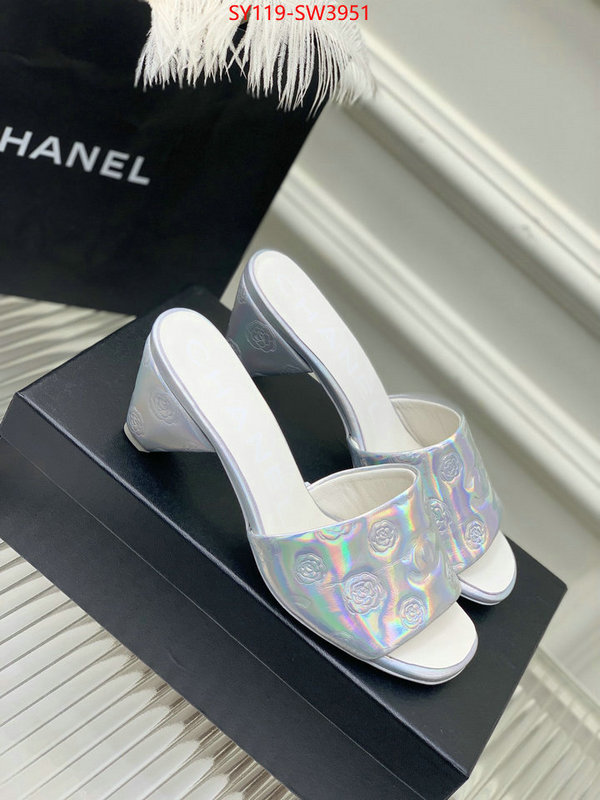 Women Shoes-Chanel,best site for replica , ID: SW3951,$: 119USD