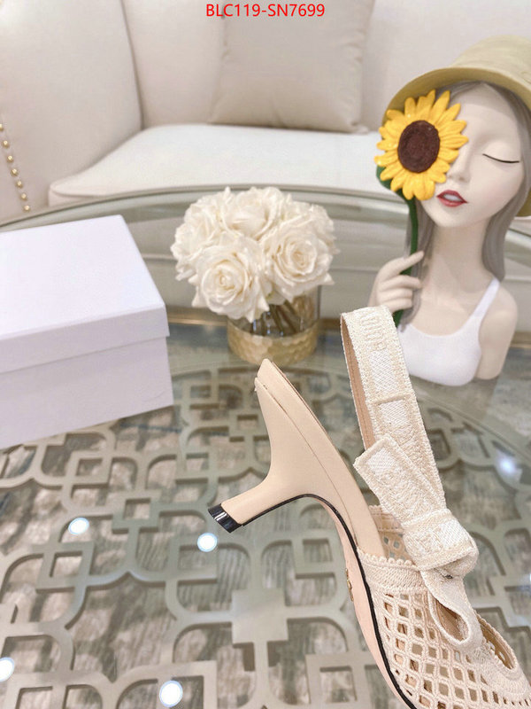 Women Shoes-Dior,buy replica , ID: SN7699,$: 119USD