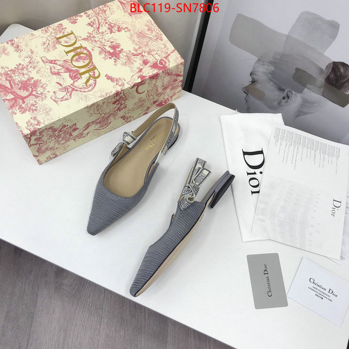 Women Shoes-Dior,how to find replica shop , ID: SN7806,$: 119USD