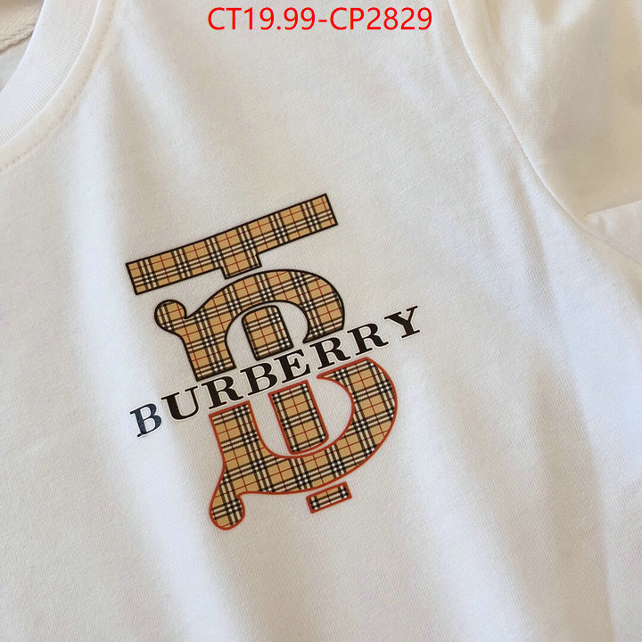 Kids clothing-Burberry,replica sale online , ID: CP2829,