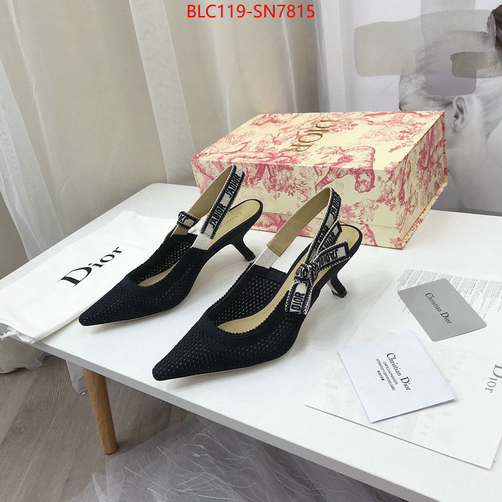 Women Shoes-Dior,shop cheap high quality 1:1 replica , ID: SN7815,$: 119USD