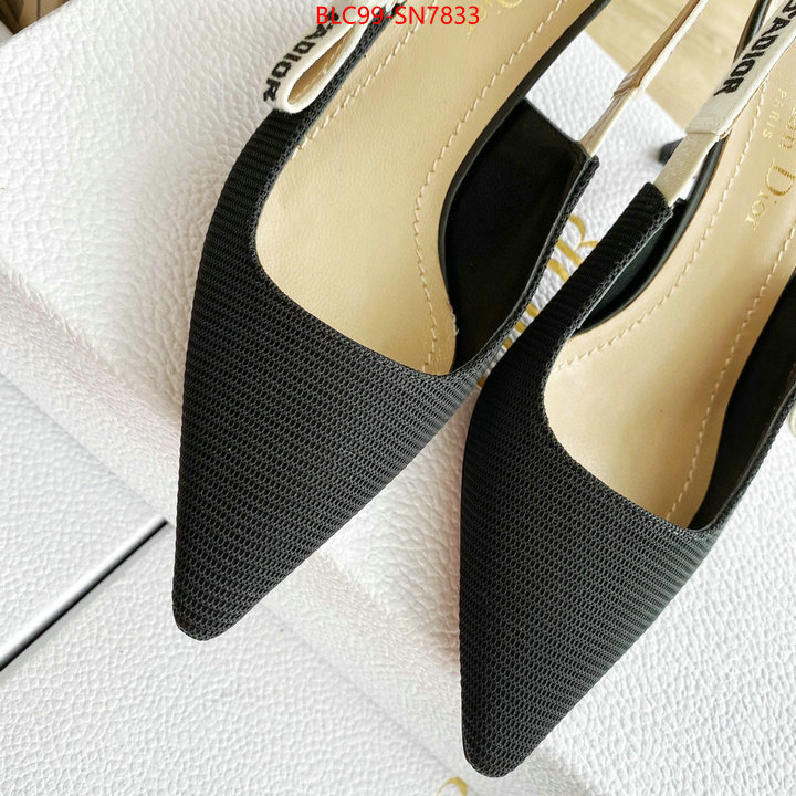 Women Shoes-Dior,replica 2023 perfect luxury , ID: SN7833,$: 99USD