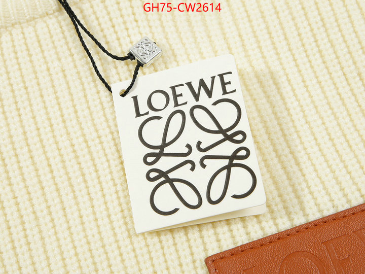 Clothing-Loewe,top quality replica , ID: CW2614,$: 75USD