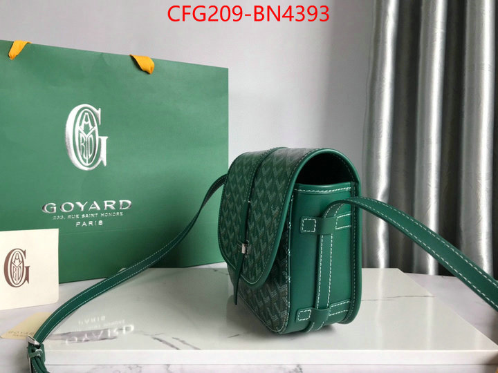 Goyard Bags(TOP)-Diagonal-,ID: BN4393,$: 209USD