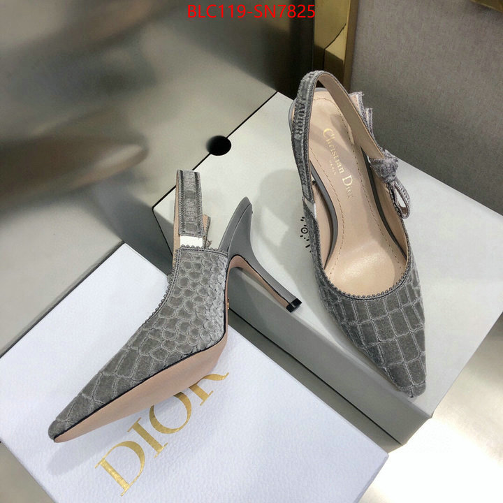 Women Shoes-Dior,buy 1:1 , ID: SN7825,$: 119USD