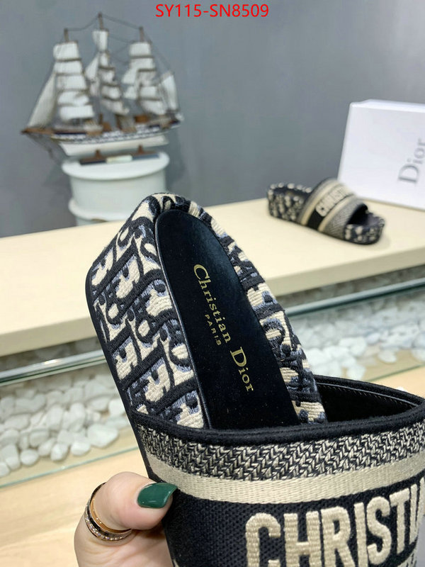 Women Shoes-Dior,sell online , ID: SN8509,$: 115USD