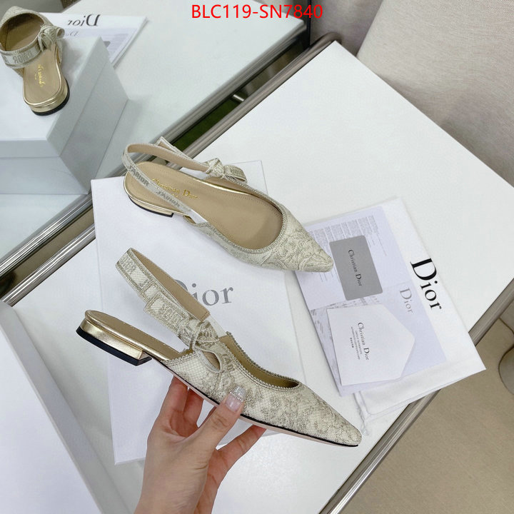 Women Shoes-Dior,replica designer , ID: SN7840,$: 119USD