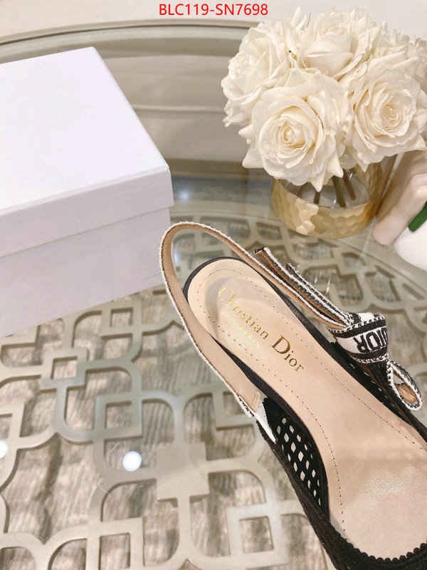 Women Shoes-Dior,how to buy replcia , ID: SN7698,$: 119USD