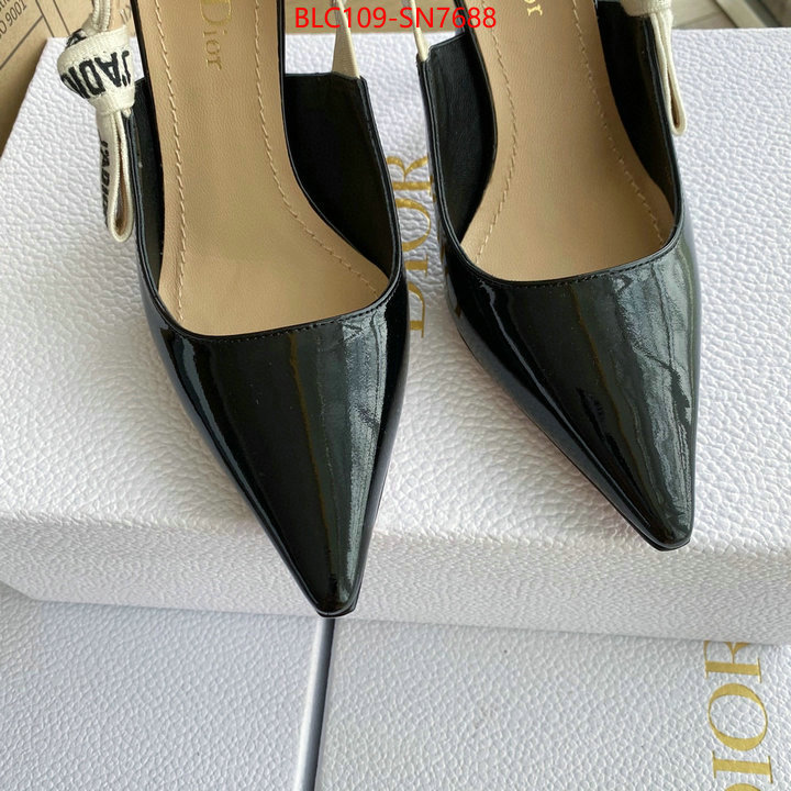 Women Shoes-Dior,fake cheap best online , ID: SN7688,$: 109USD