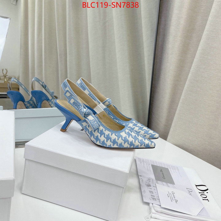 Women Shoes-Dior,can i buy replica , ID: SN7838,$: 119USD