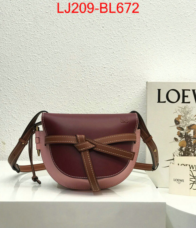 Loewe Bags(TOP)-Diagonal-,the best ,ID: BL672,$:209USD