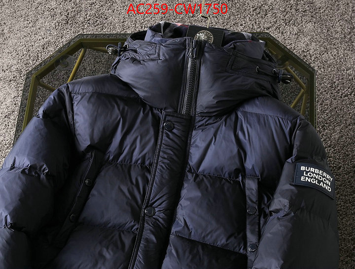 Down jacket Women-Burberry,from china 2023 , ID: CW1750,$: 259USD