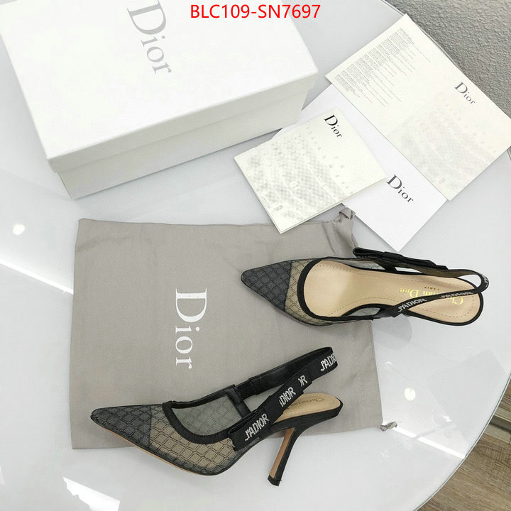 Women Shoes-Dior,top quality designer replica , ID: SN7697,$: 109USD