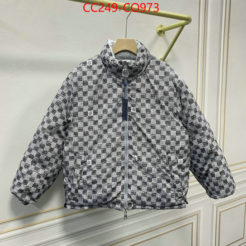 Down jacket Women-LV,what is top quality replica , ID: CO973,$: 249USD
