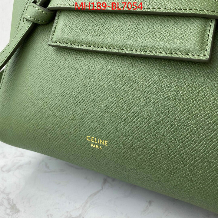 CELINE Bags(TOP)-Belt Bag,wholesale ,ID: BL7054,$: 189USD