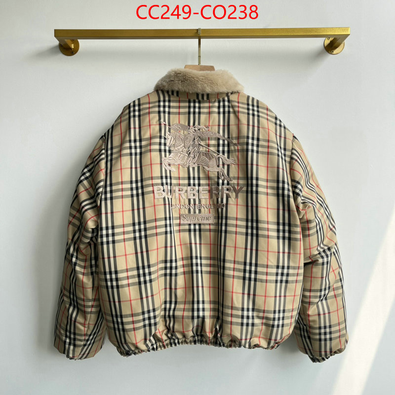 Down jacket Men-Burberry,best wholesale replica , ID: CO238,$: 249USD