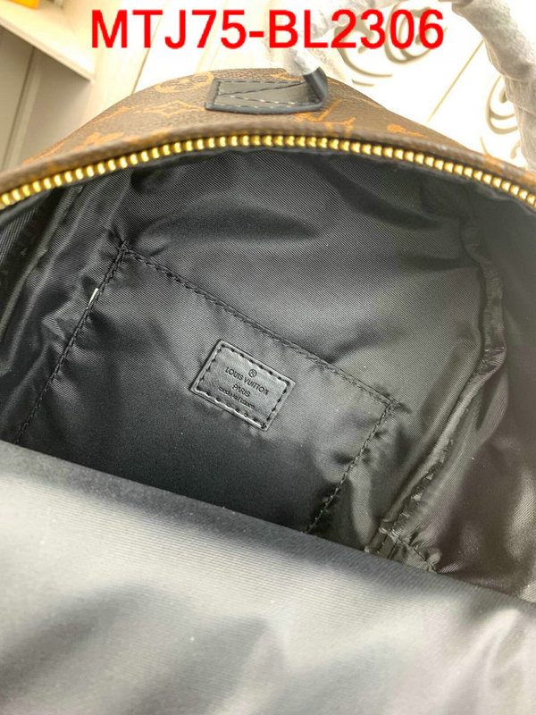 LV Bags(4A)-Backpack-,ID：BL2306,$:75USD