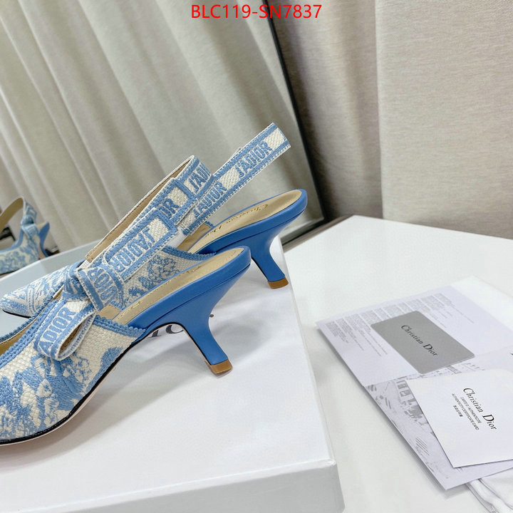 Women Shoes-Dior,replicas , ID: SN7837,$: 119USD