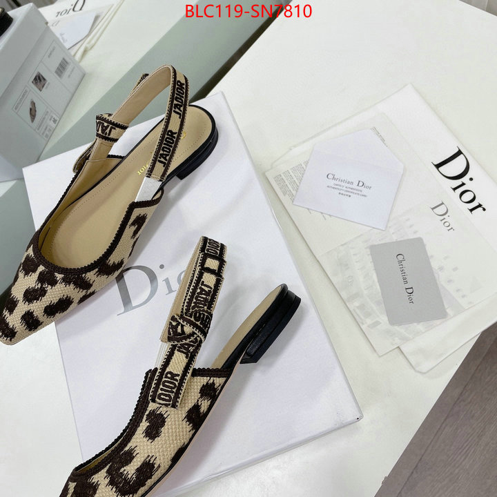 Women Shoes-Dior,7 star , ID: SN7810,$: 119USD