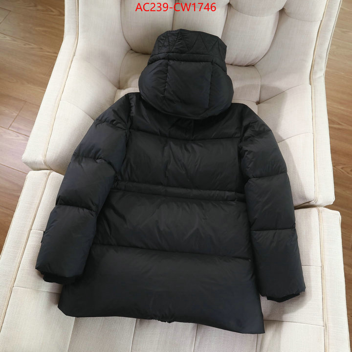 Down jacket Women-Burberry,where to buy , ID: CW1746,$: 239USD