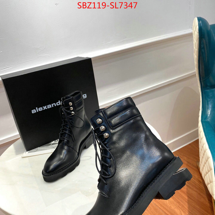 Women Shoes-Alexander Wang,designer fake , ID: SL7347,$: 119USD