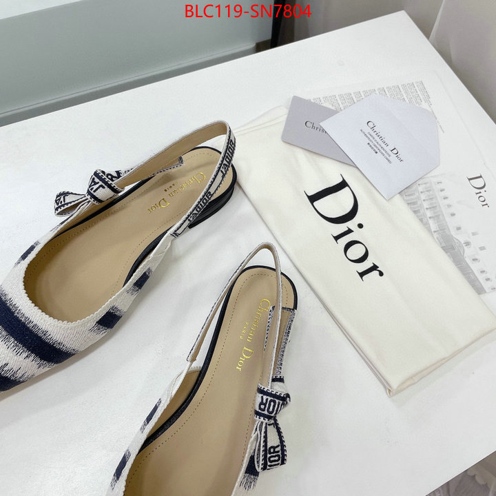 Women Shoes-Dior,wholesale designer shop , ID: SN7804,$: 119USD