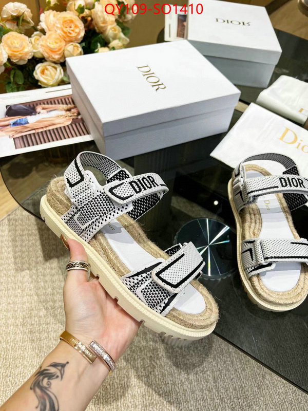 Women Shoes-Dior,wholesale , ID: SO1410,$: 109USD