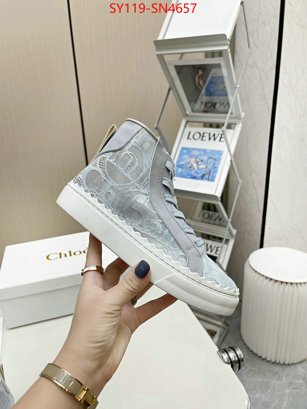 Women Shoes-Chloe,designer fake , ID: SN4657,$: 119USD