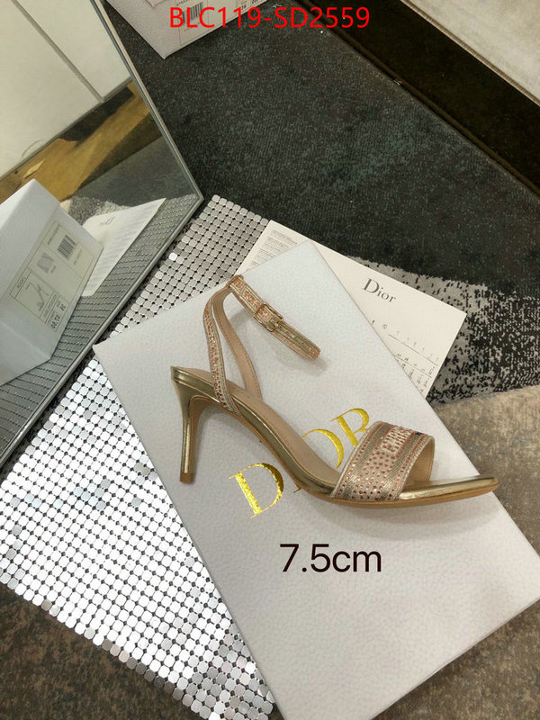 Women Shoes-Dior,is it ok to buy , ID: SD2559,$: 119USD