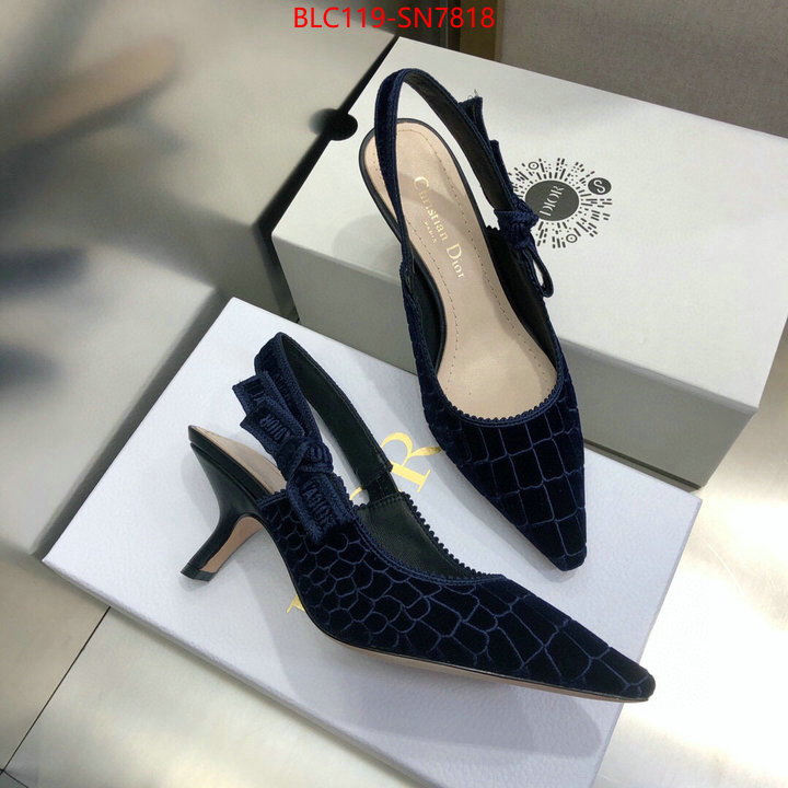 Women Shoes-Dior,aaaaa+ quality replica , ID: SN7818,$: 119USD