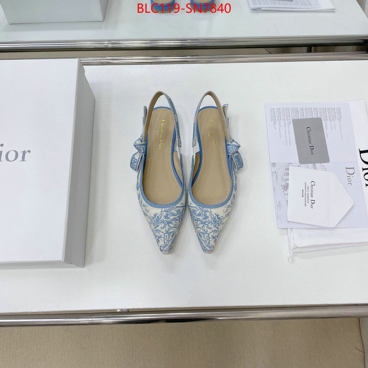 Women Shoes-Dior,replica designer , ID: SN7840,$: 119USD