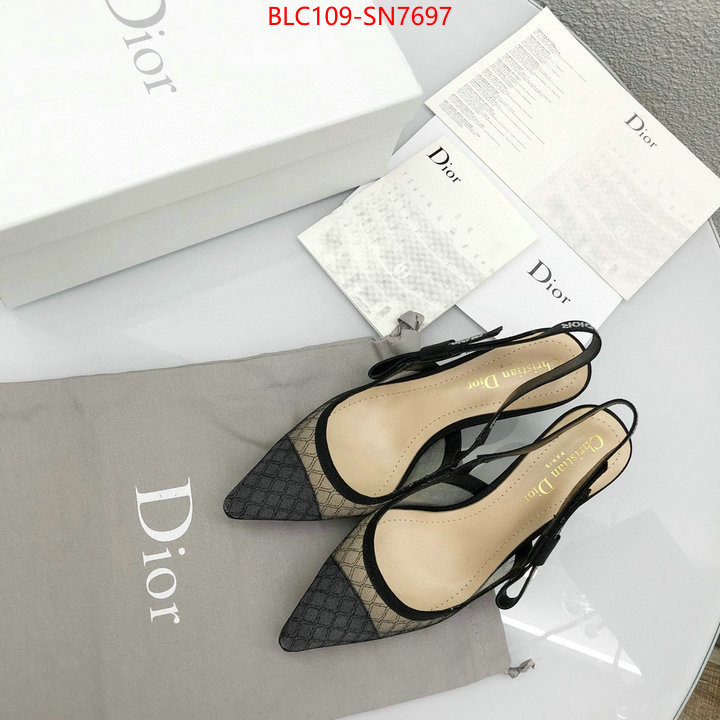 Women Shoes-Dior,top quality designer replica , ID: SN7697,$: 109USD