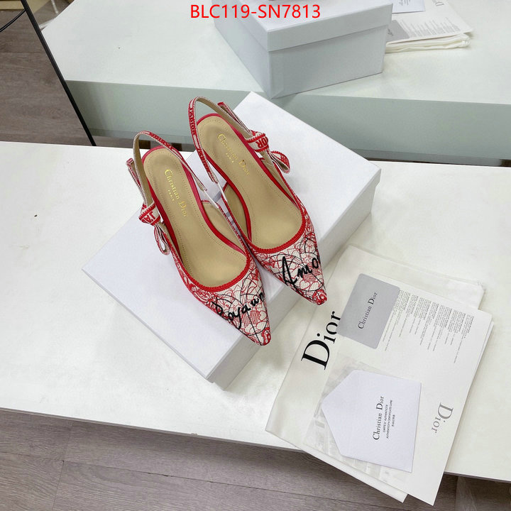 Women Shoes-Dior,designer wholesale replica , ID: SN7813,$: 119USD