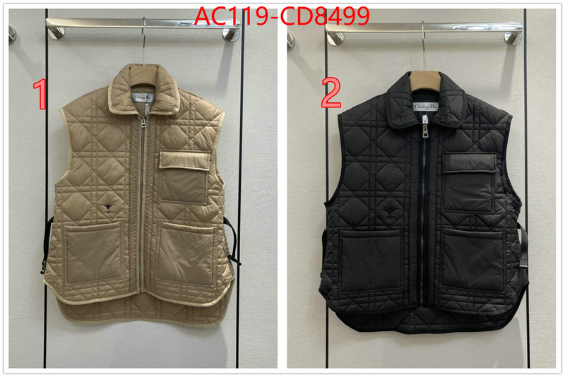 Down jacket Women-Dior,china sale , ID: CD8499,$: 119USD