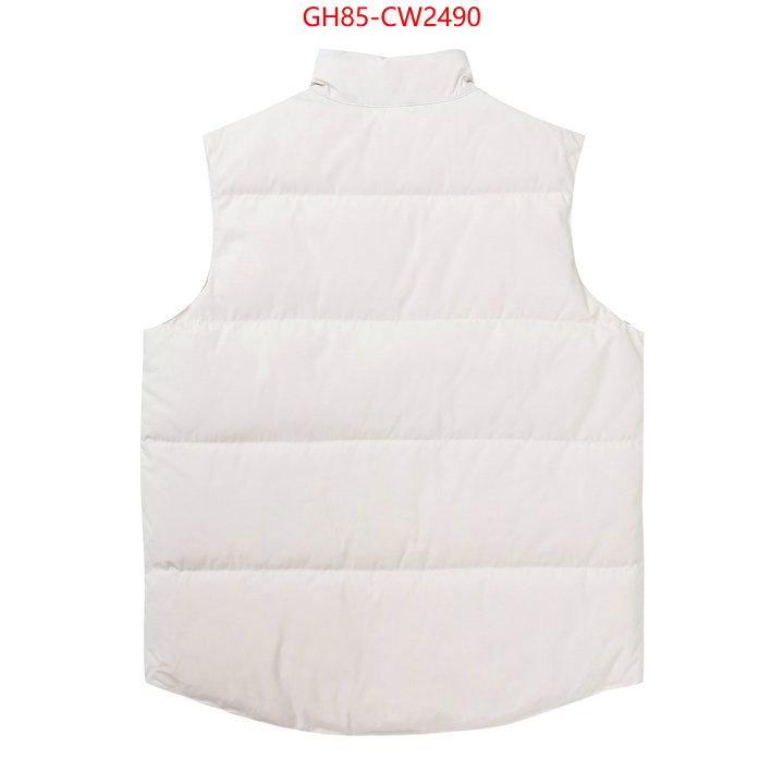 Down jacket Men-Canada Goose,best quality replica , ID: CW2490,$: 85USD