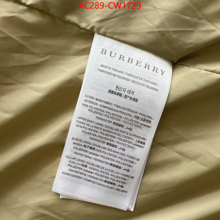 Down jacket Women-Burberry,website to buy replica , ID: CW1729,$: 289USD