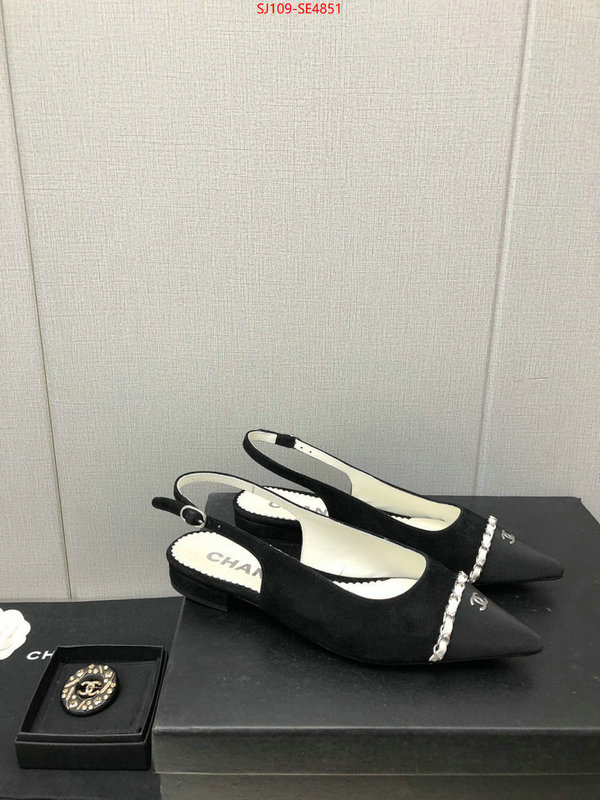 Women Shoes-Chanel,can you buy knockoff , ID: SE4851,$: 109USD