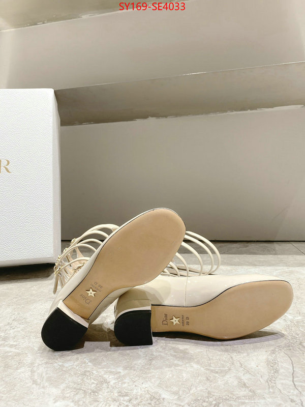 Women Shoes-Dior,top quality replica , ID: SE4033,$: 169USD