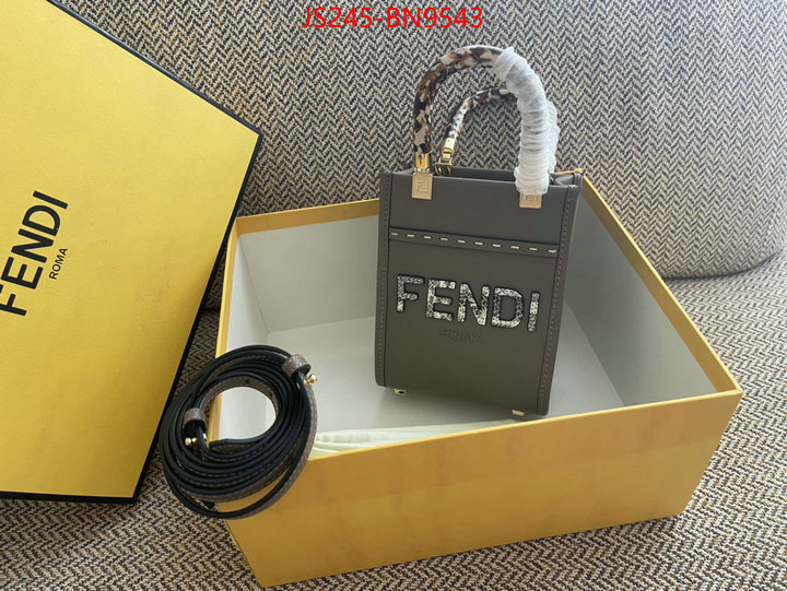 Fendi Bags(TOP)-Sunshine-,best site for replica ,ID: BN9543,$: 245USD